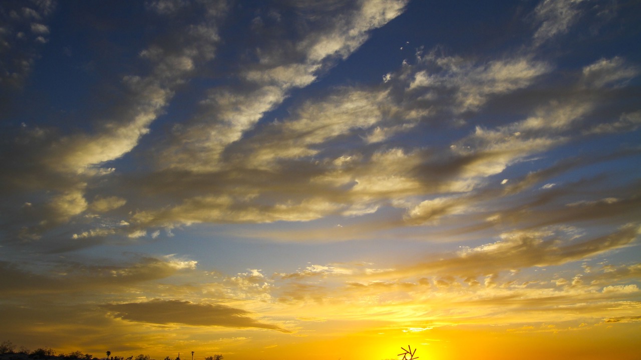 Photo of Outdoor in Twentynine Palms