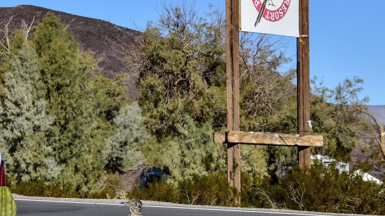 Photo of Outdoor in Panamint Springs