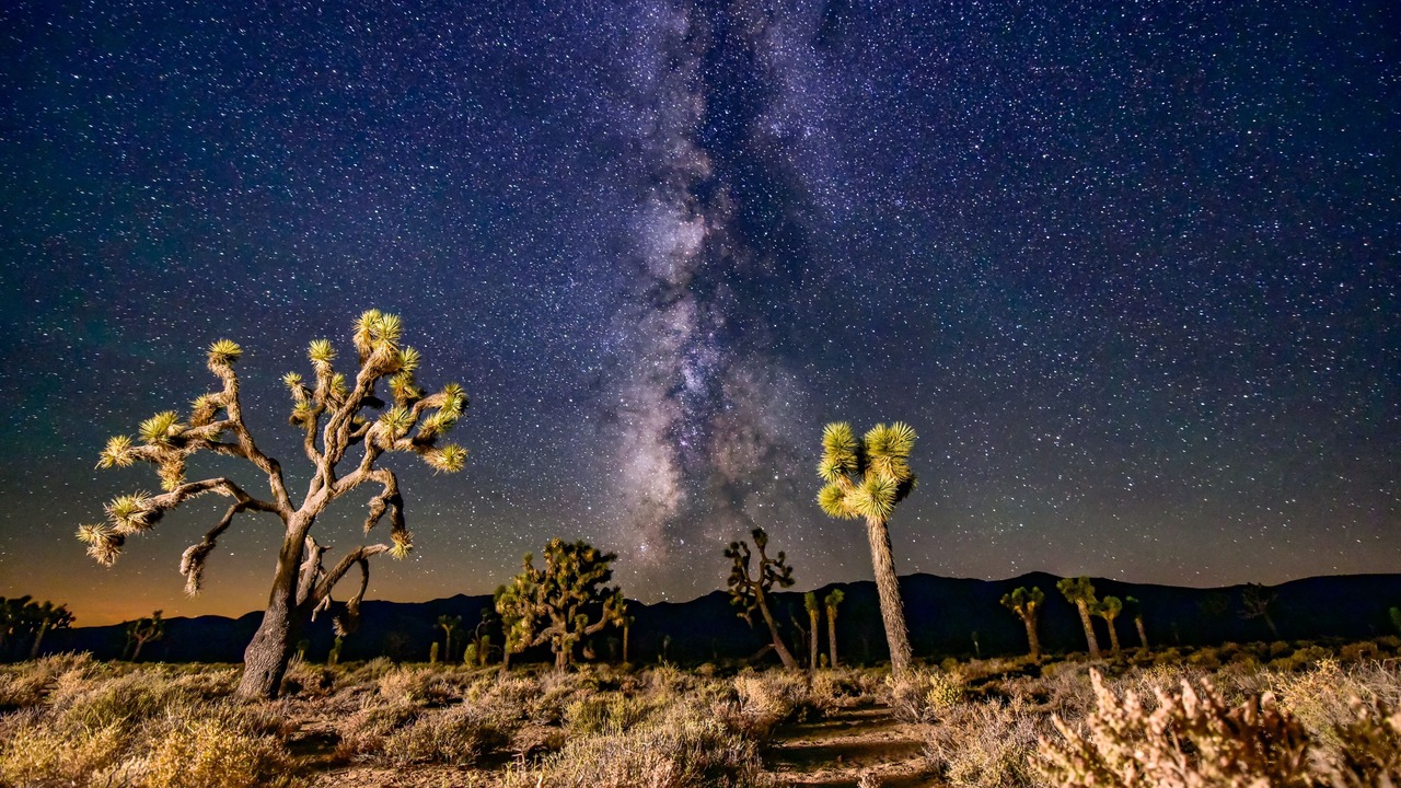 Photo of Others in Panamint Springs