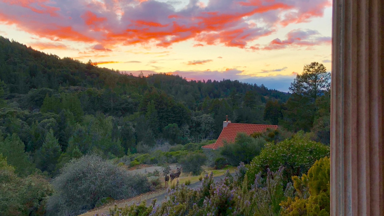 Photo of Others in Santa Rosa