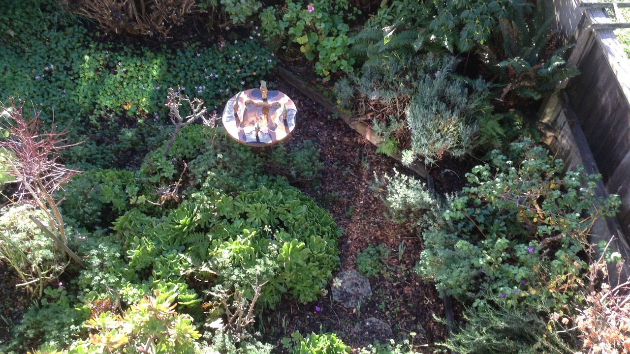 Photo of Outdoor in Sea Ranch