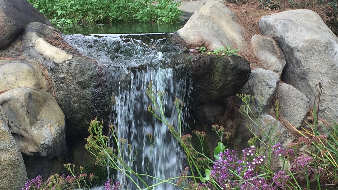 Photo of Outdoor in Mira Mesa