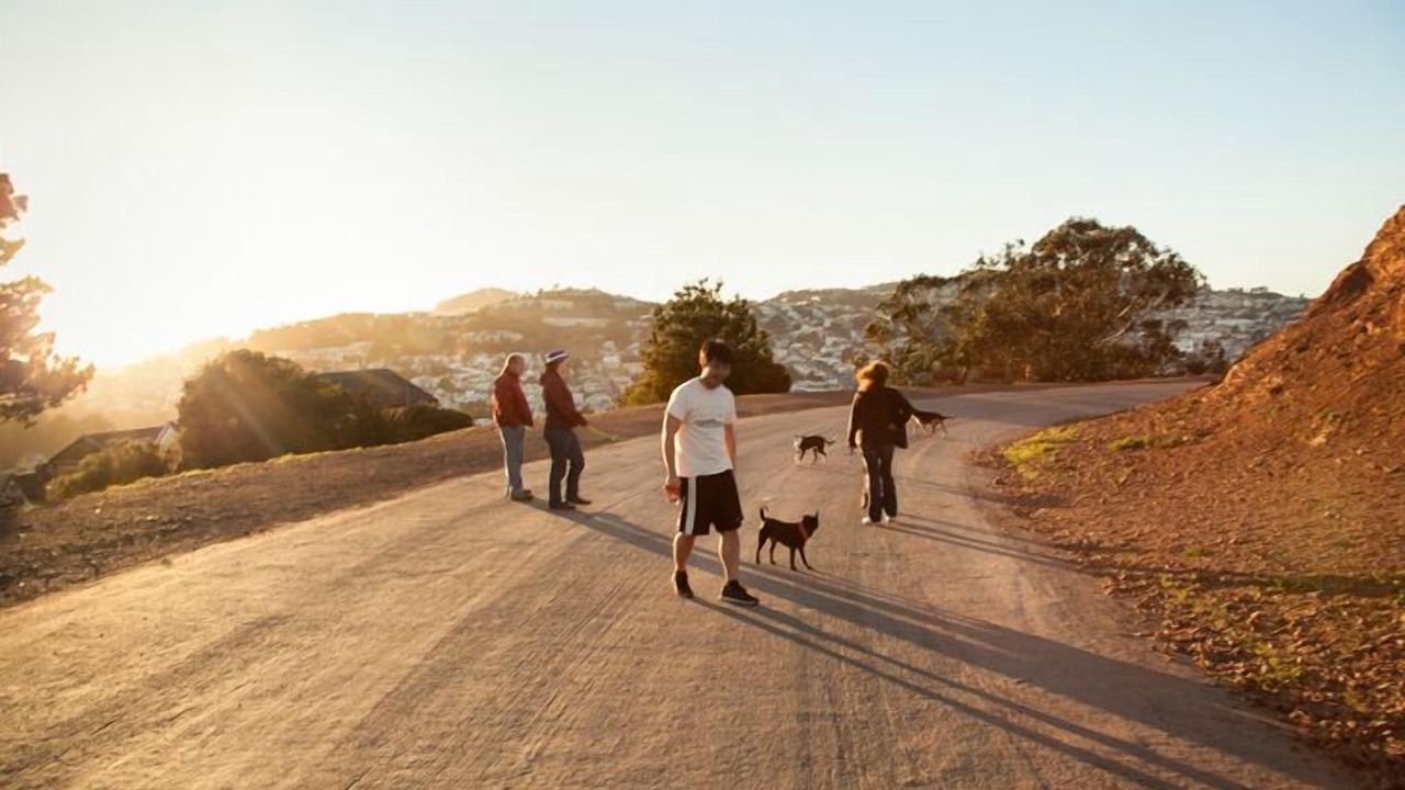 Photo of Others in Bernal Heights