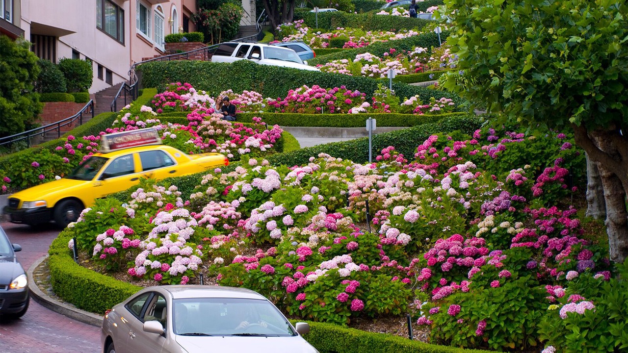 Photo of Outdoor in Pacific Heights