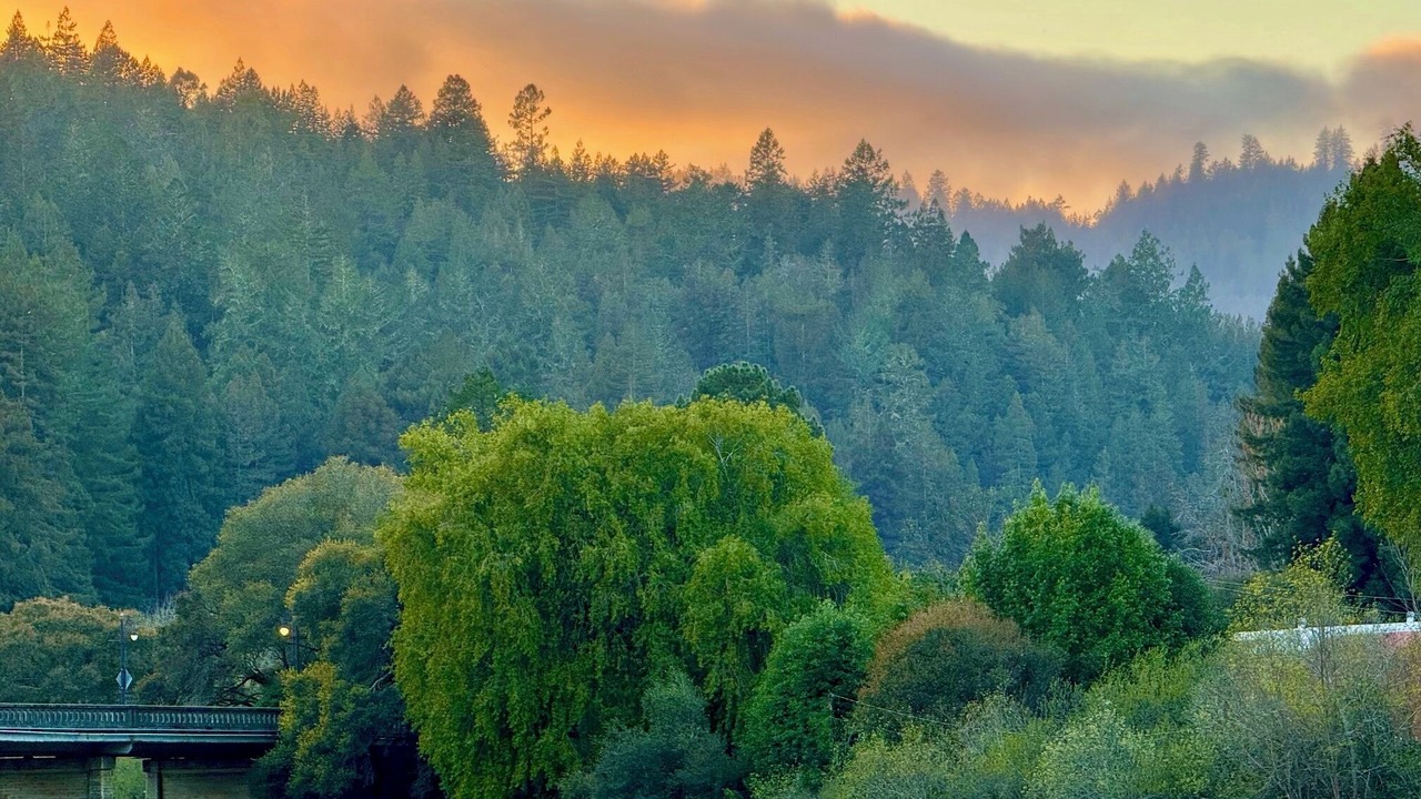 Photo of Outdoor in Monte Rio
