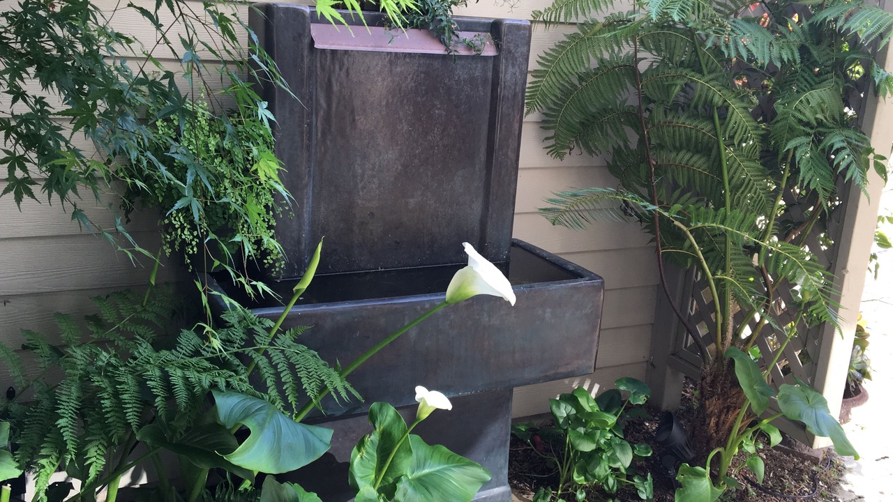 Photo of Outdoor in Highlands-Baywood Park