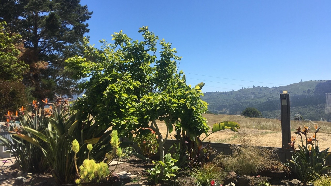 Photo of Outdoor in Highlands-Baywood Park