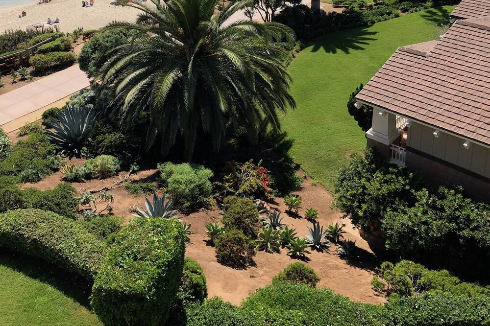 Photo of Others in Santa Ana Heights