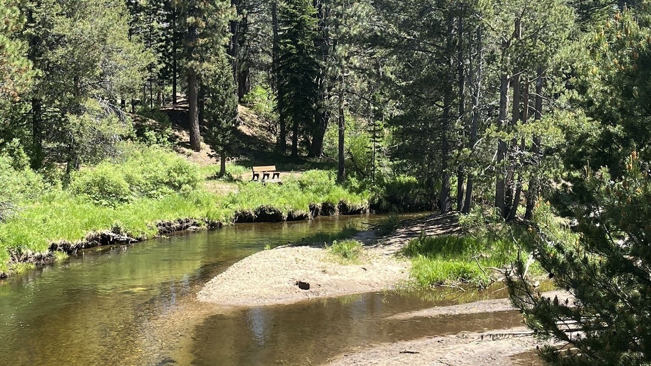 Photo of Others in North Upper Truckee