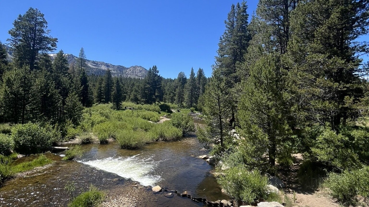 Photo of Others in North Upper Truckee