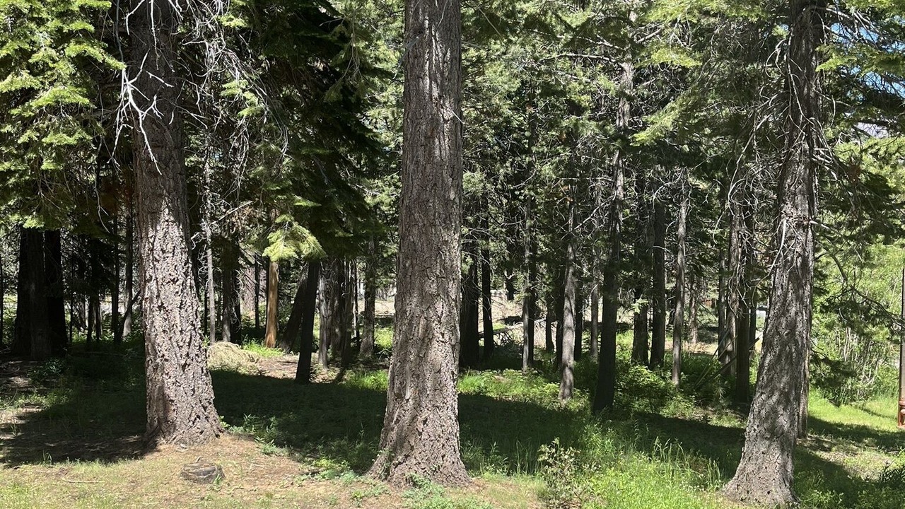 Photo of Others in North Upper Truckee