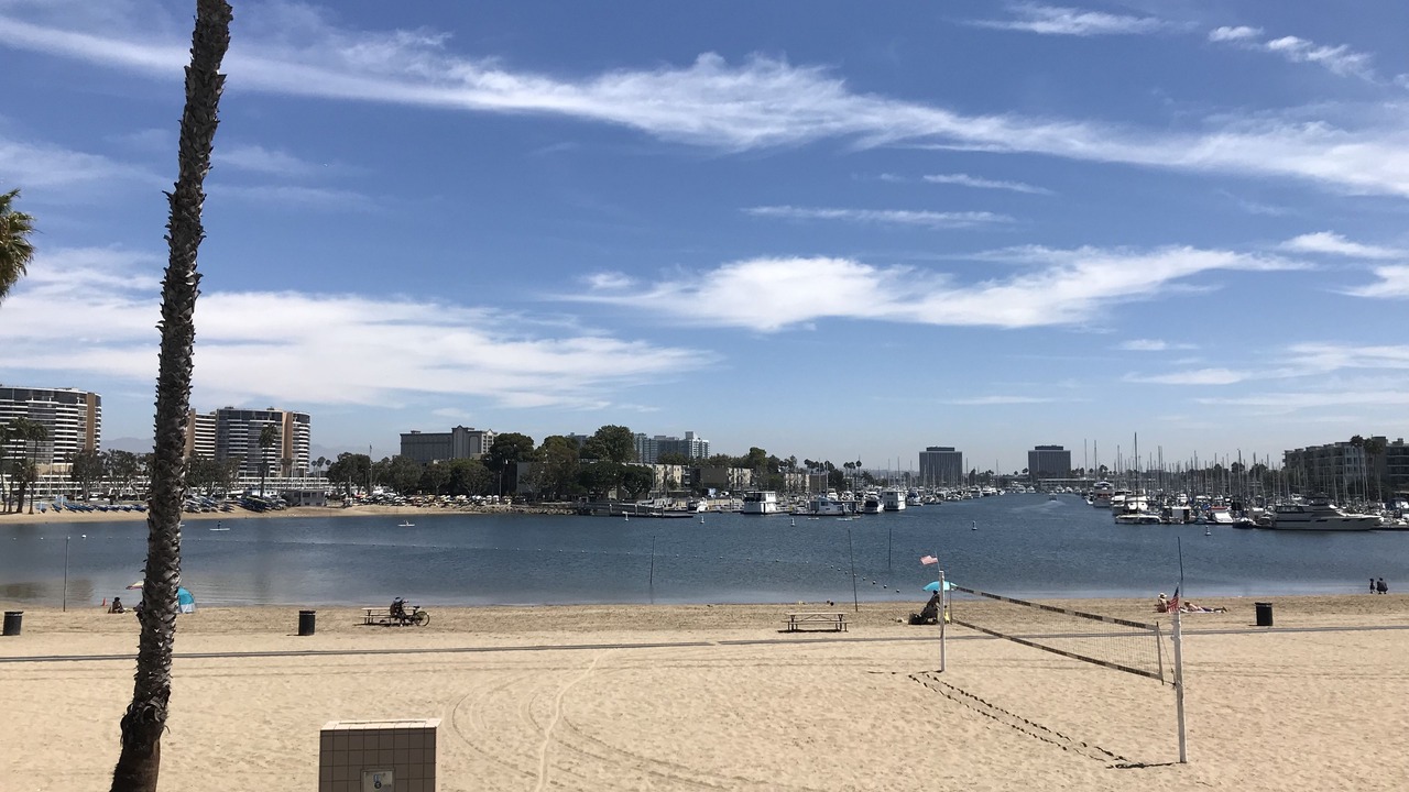 Photo of Others in Marina del Rey