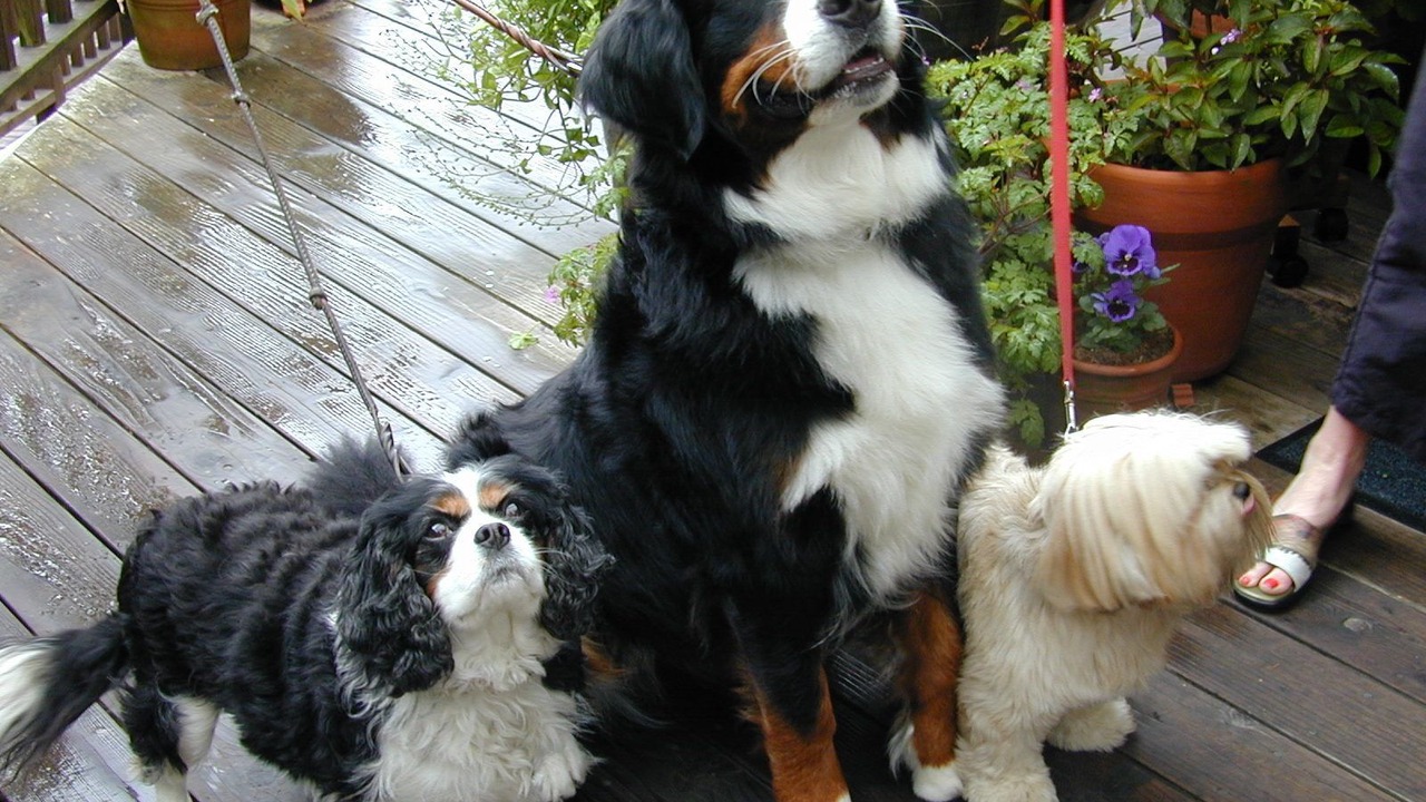 Photo of Others in Mendocino