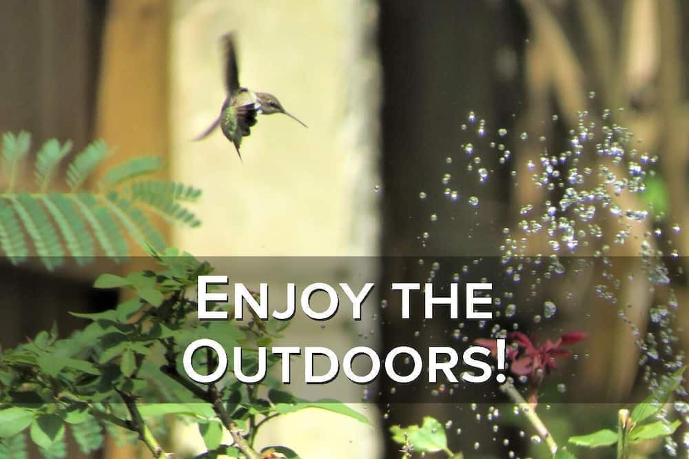 Photo of Outdoor in Temecula