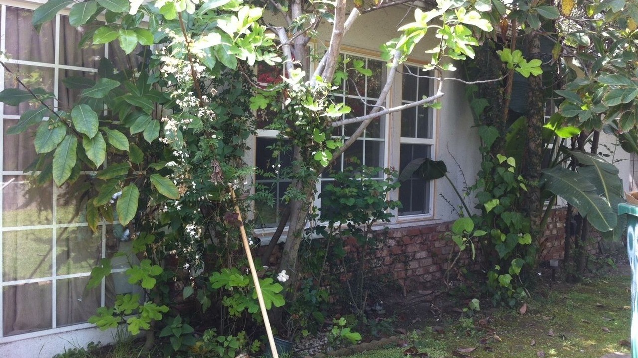 Photo of Outdoor in The Flats