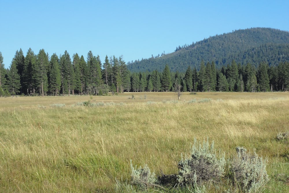 Photo of Outdoor in Sierraville