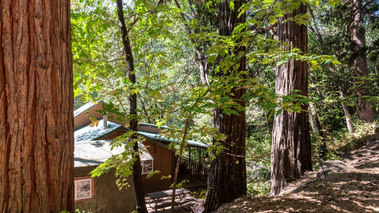 Photo of Outdoor in Sierra City