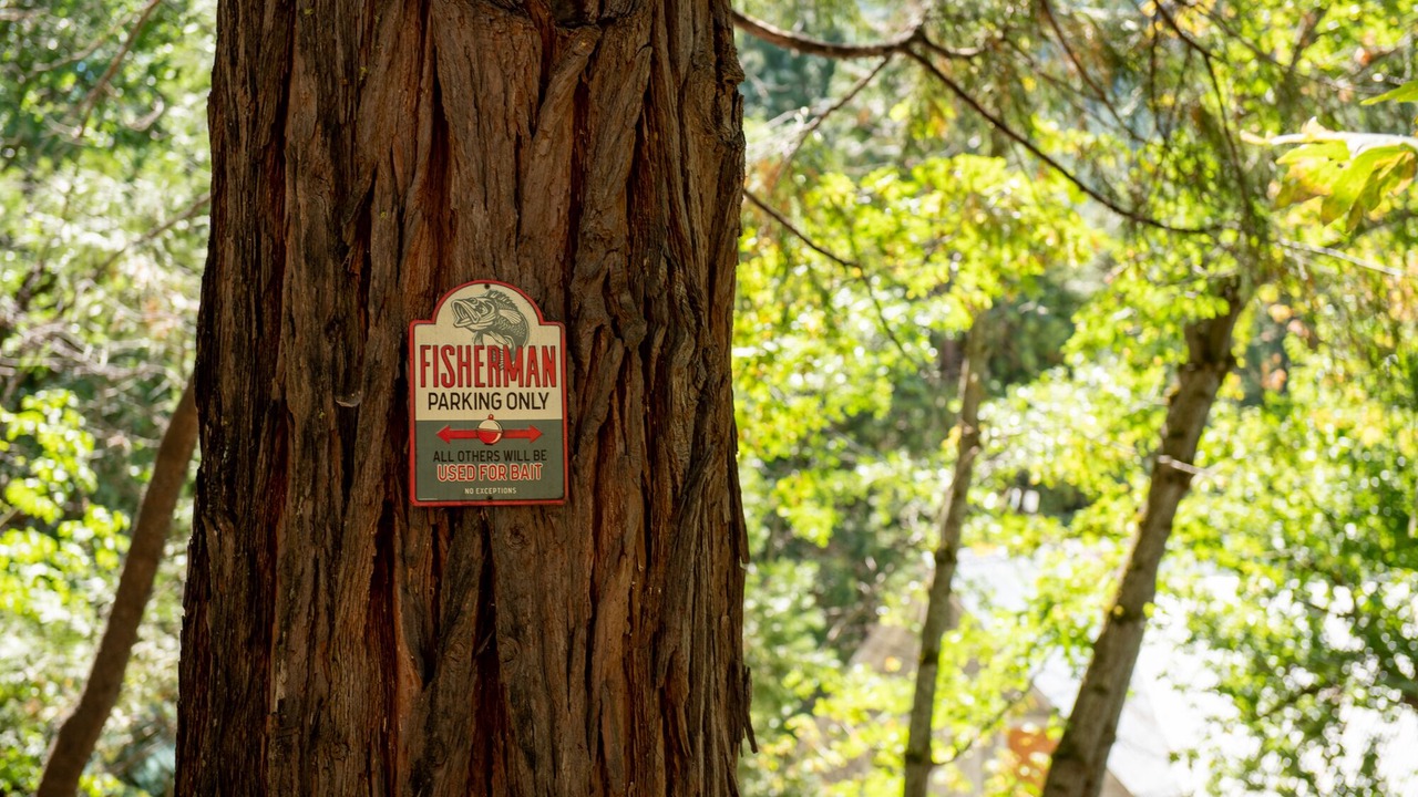 Photo of Outdoor in Sierra City