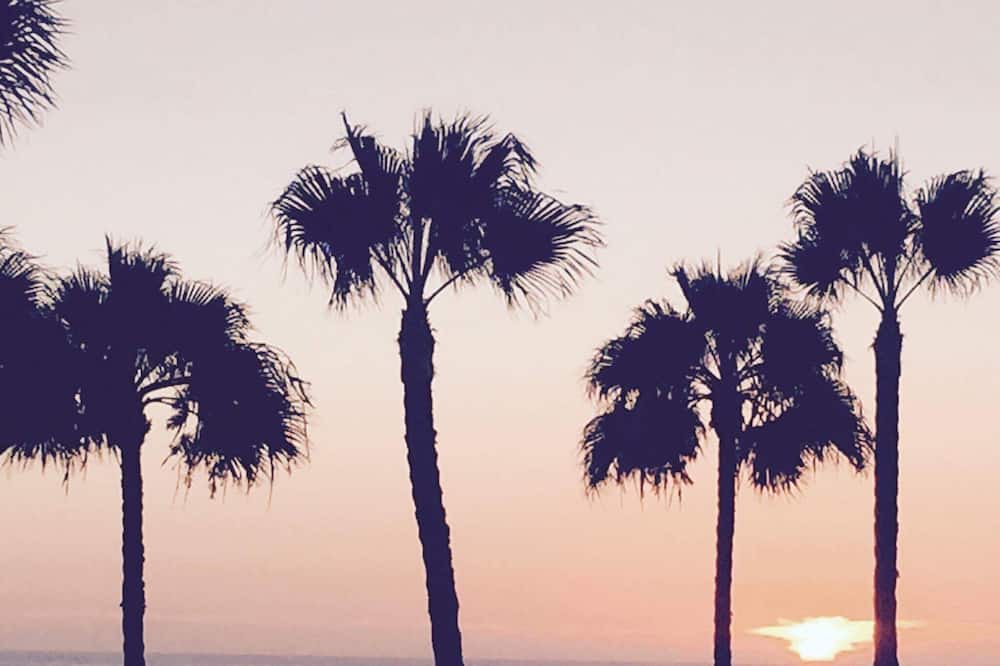 Photo of Others in Ocean Beach