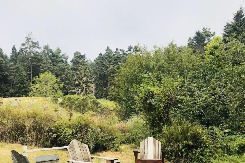 Photo of Outdoor in Little River
