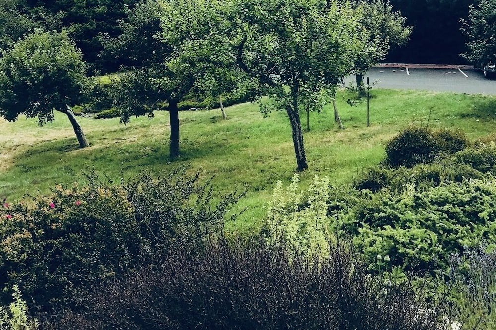 Photo of Outdoor in Little River