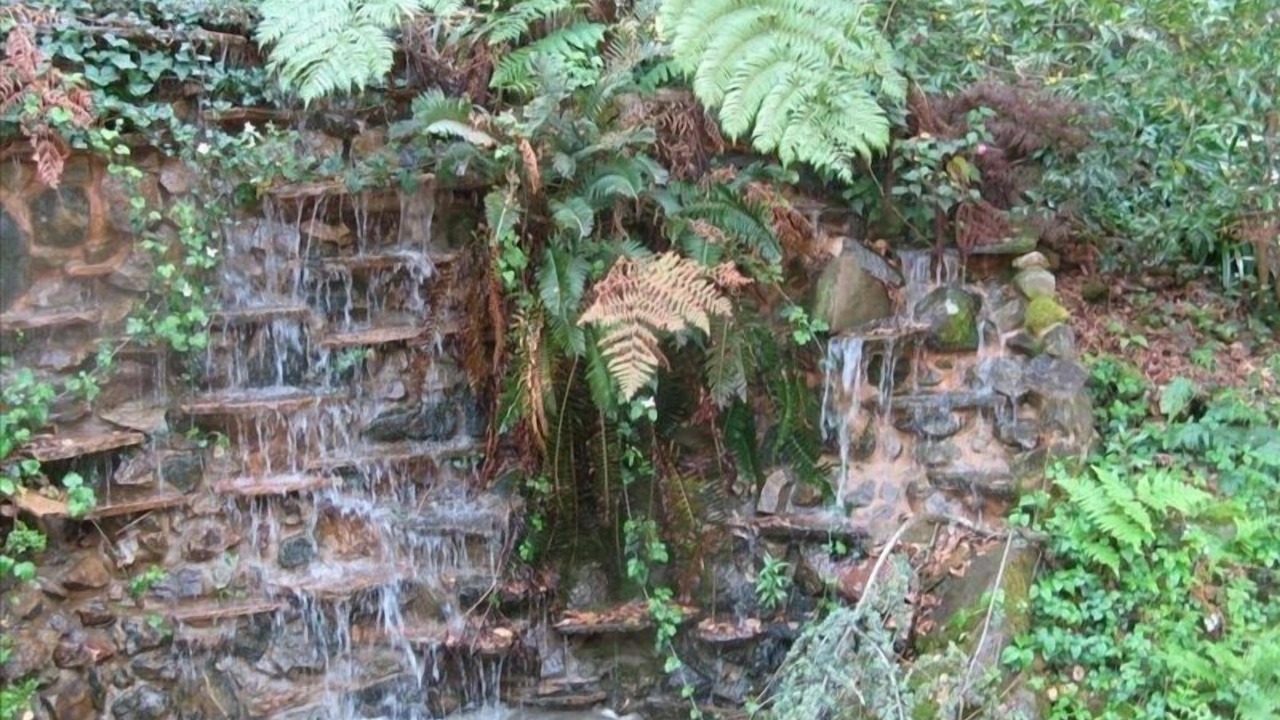 Photo of Outdoor in Montclair