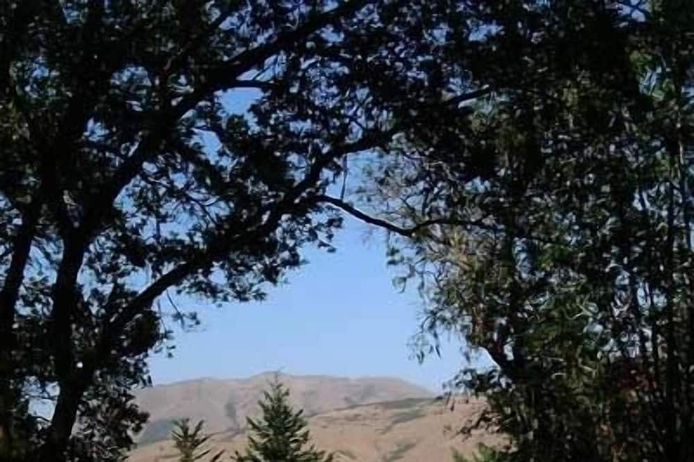 Photo of Others in Point Reyes Station