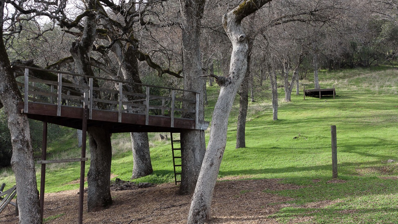 Photo of Outdoor in Placerville