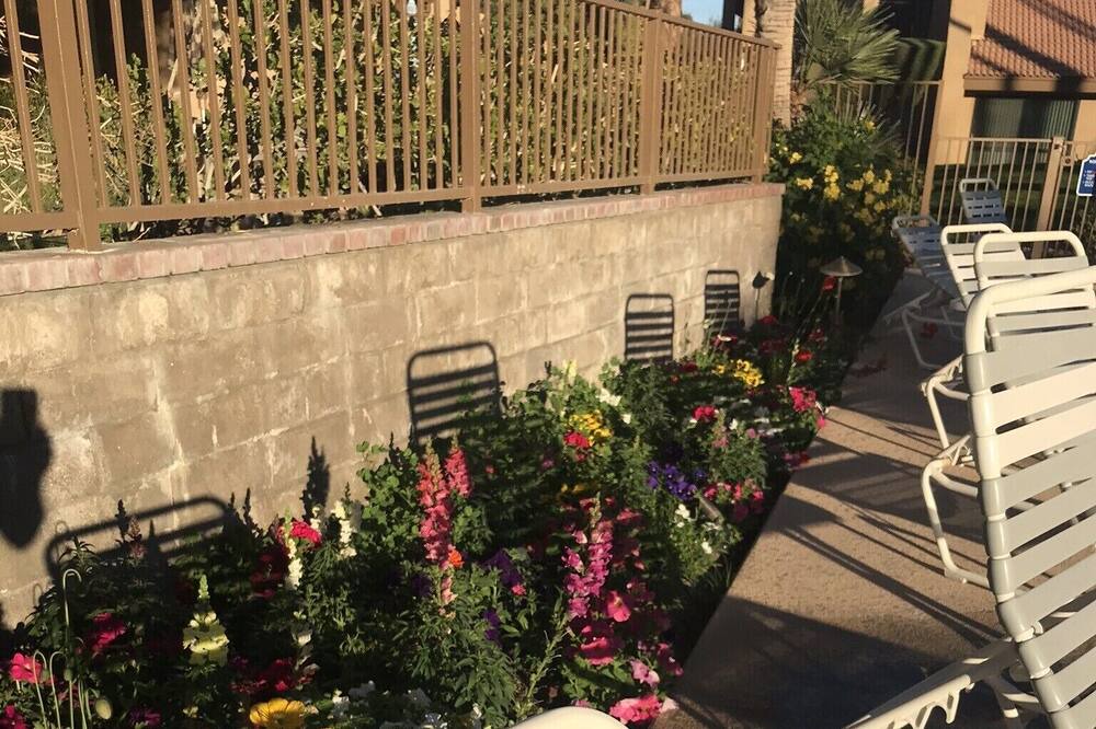Photo of Outdoor in Araby
