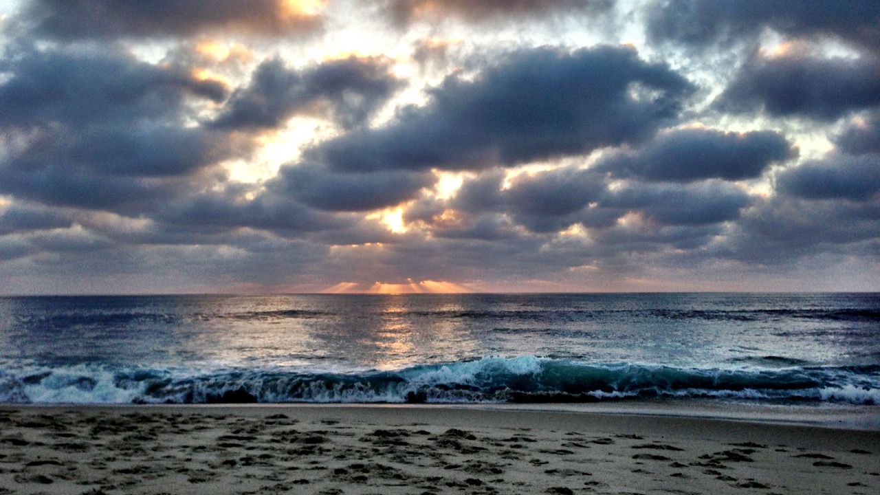 Photo of Others in Village of La Jolla