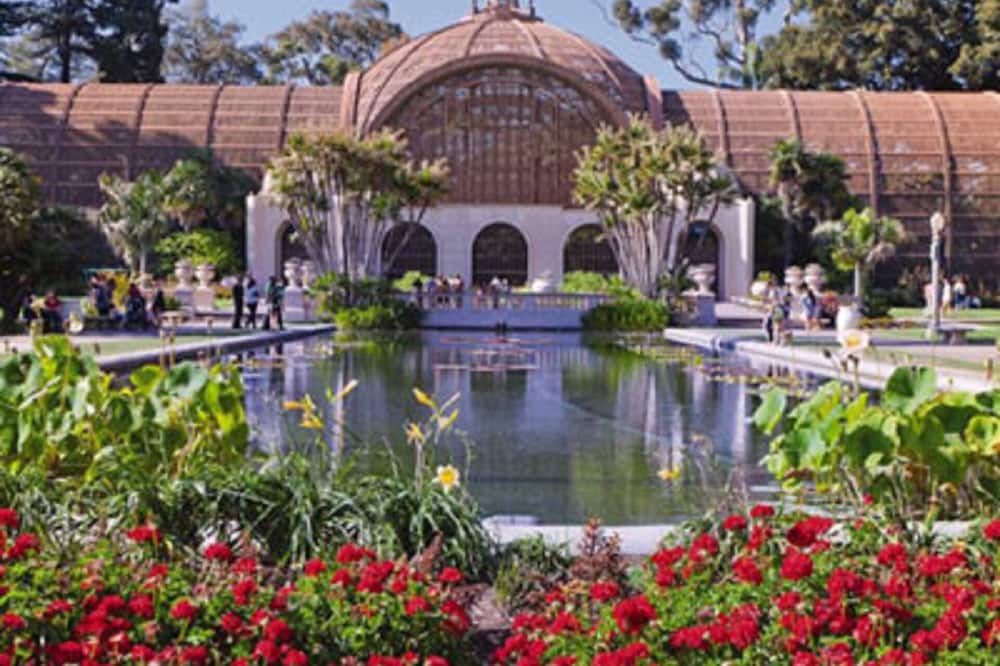 Photo of Outdoor in Park West