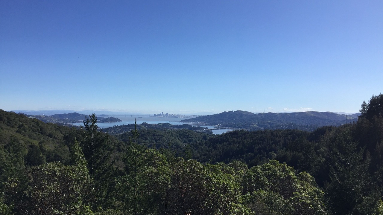 Photo of Others in Mill Valley