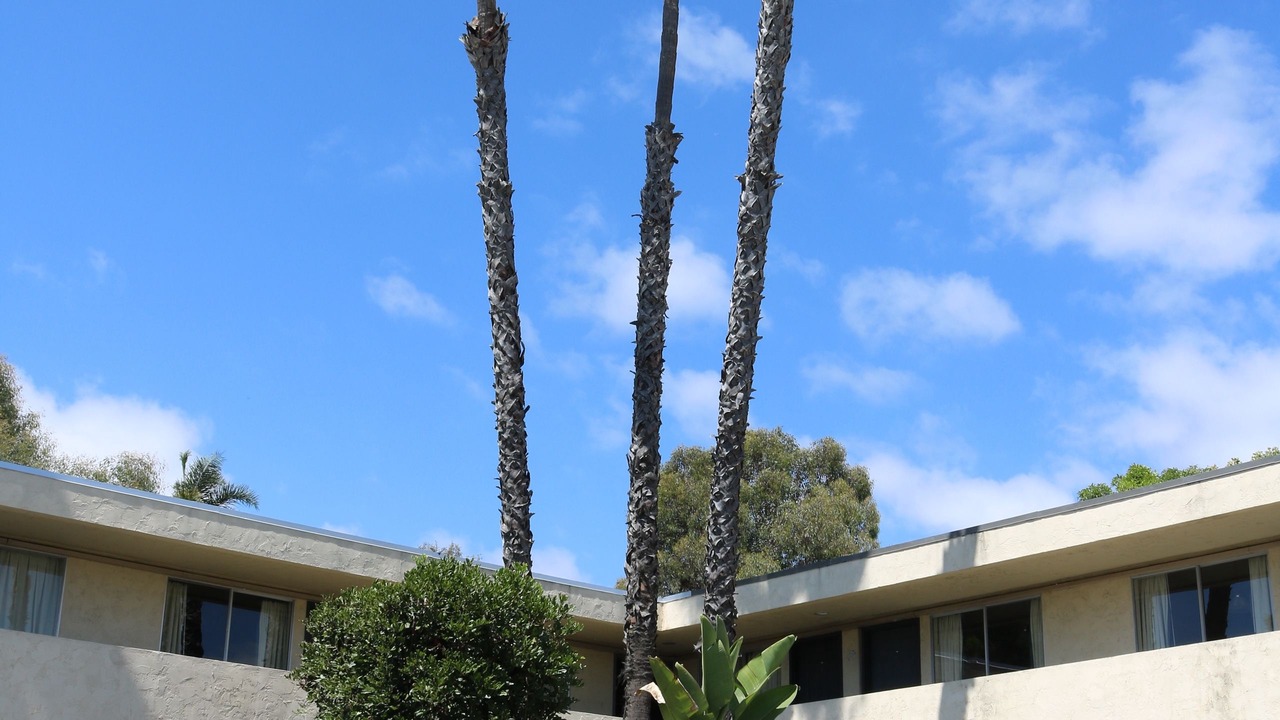 Photo of Outdoor in San Ysidro