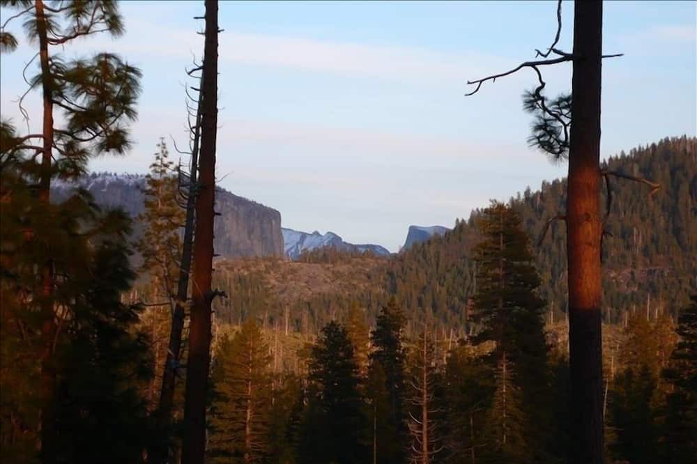 Photo of Others in Foresta