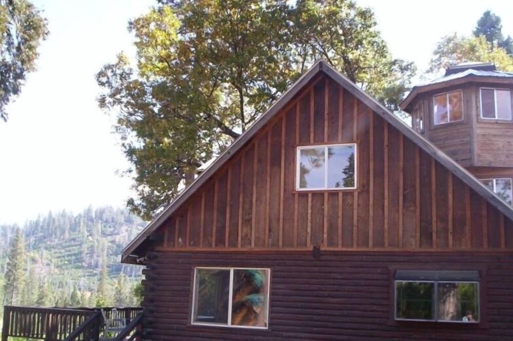 Photo of Others in Foresta