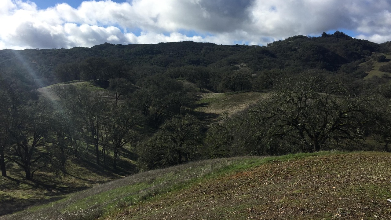 Photo of Outdoor in California Wine Country