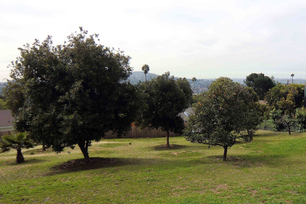 Photo of Others in San Carlos