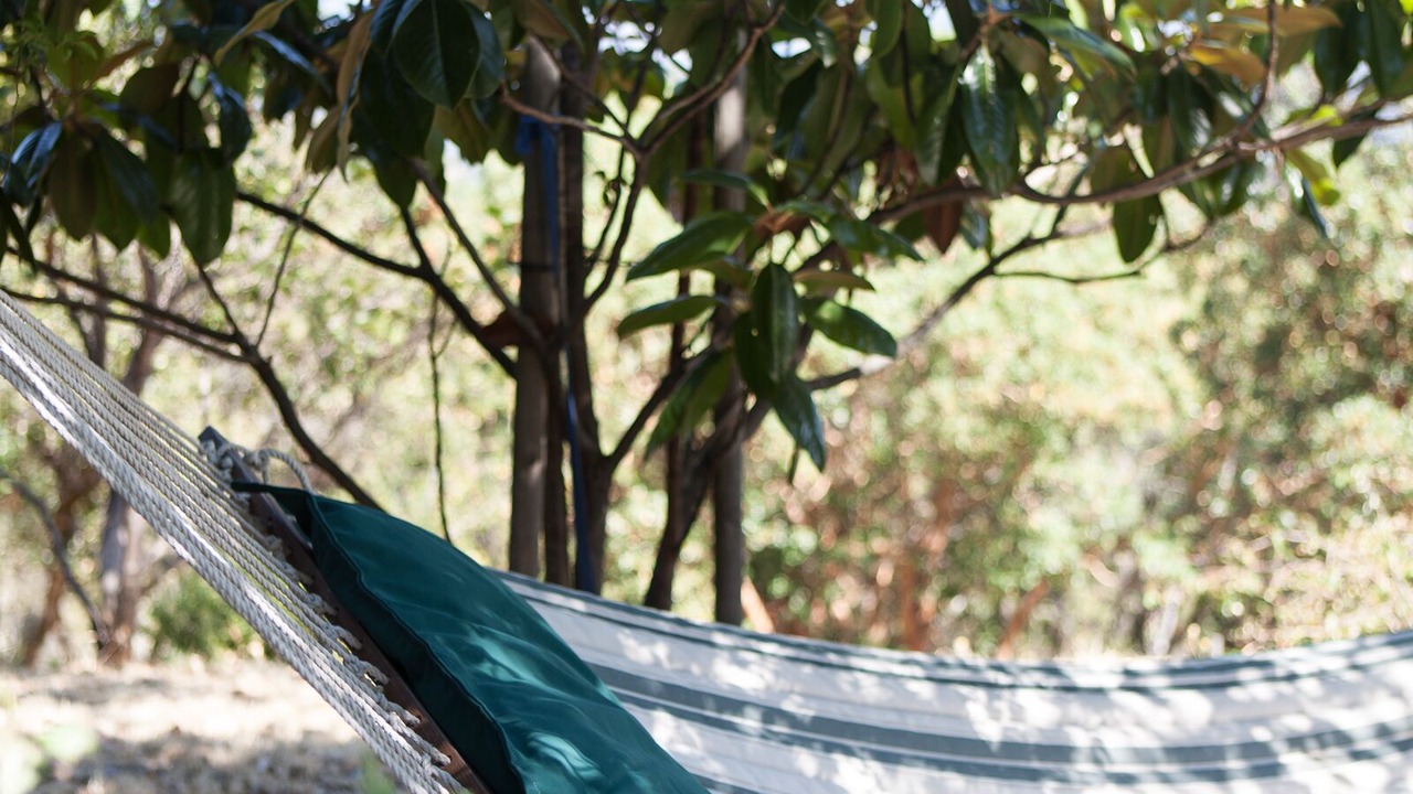 Photo of Outdoor in St. Helena