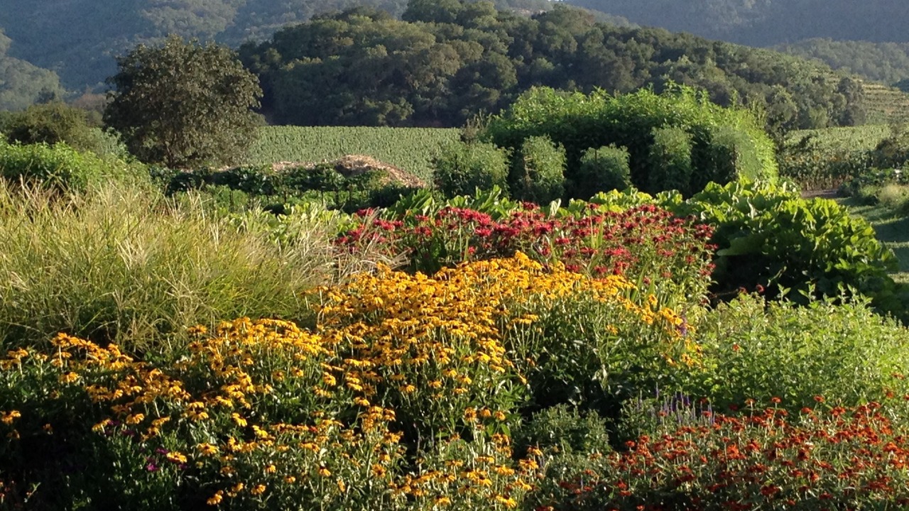Photo of Outdoor in Napa