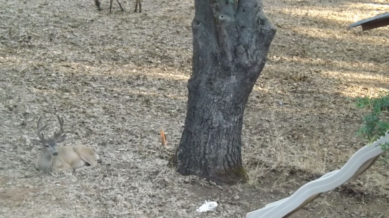 Photo of Outdoor in Groveland