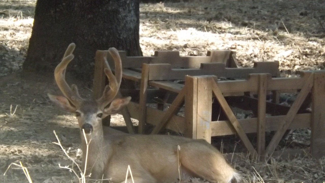 Photo of Outdoor in Groveland