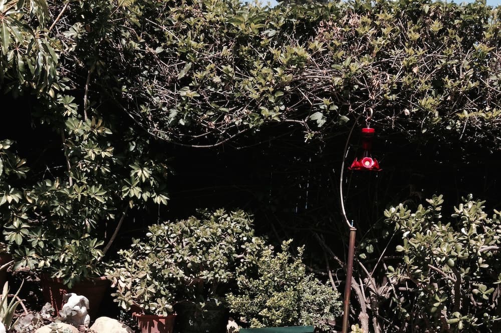 Photo of Outdoor in Mission Canyon