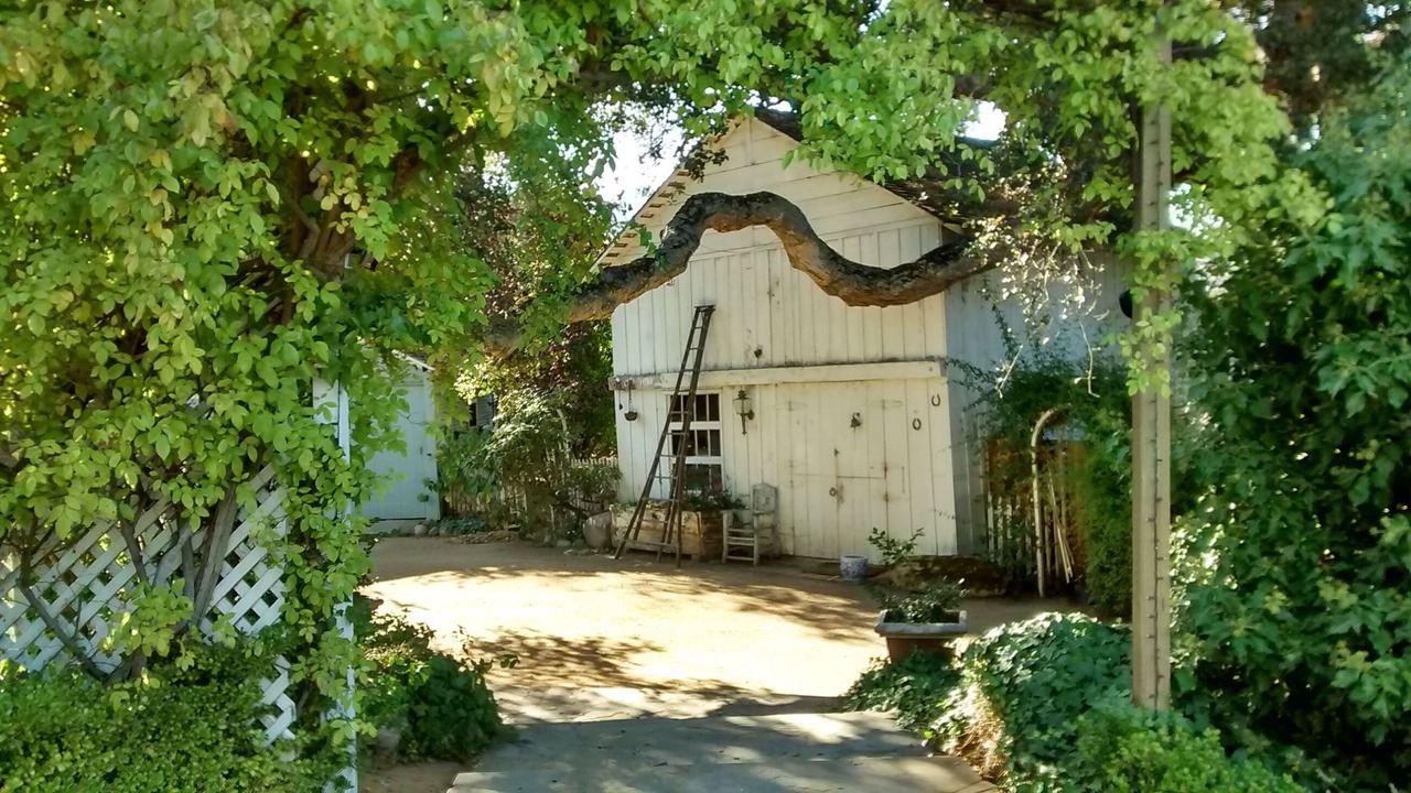 Photo of Outdoor in Carmel
