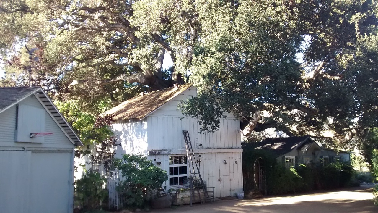 Photo of Outdoor in Carmel