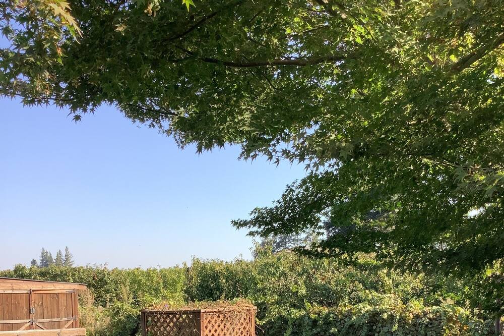 Photo of Outdoor in Victor