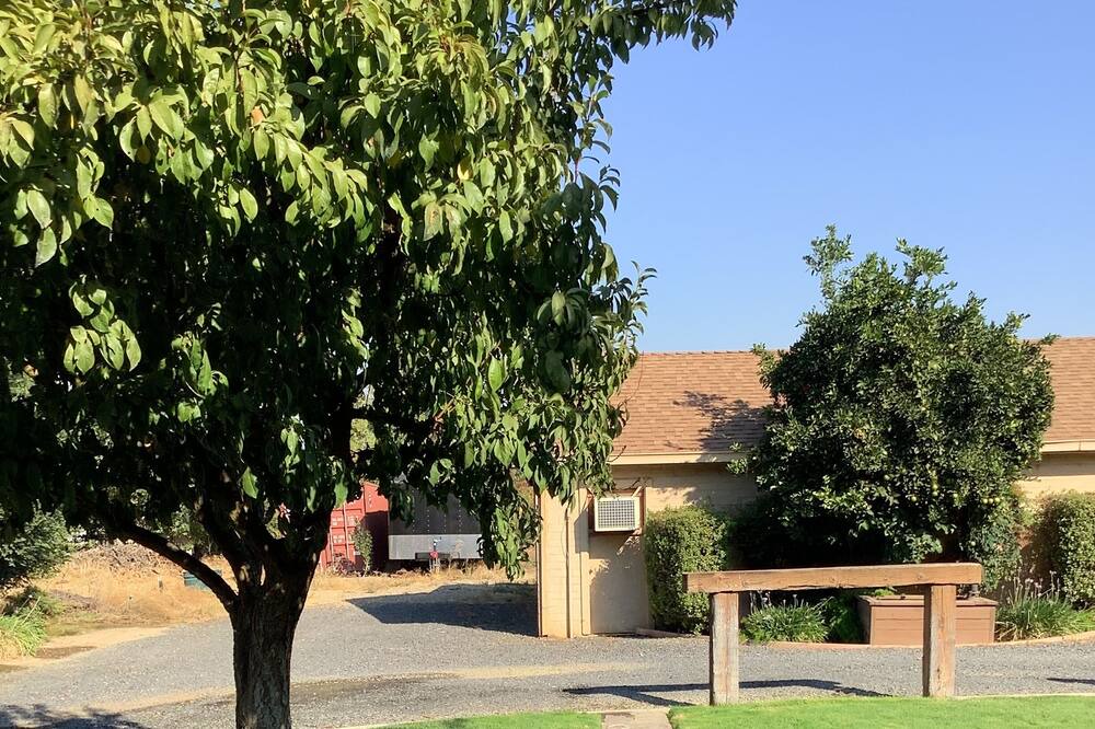 Photo of Outdoor in Victor