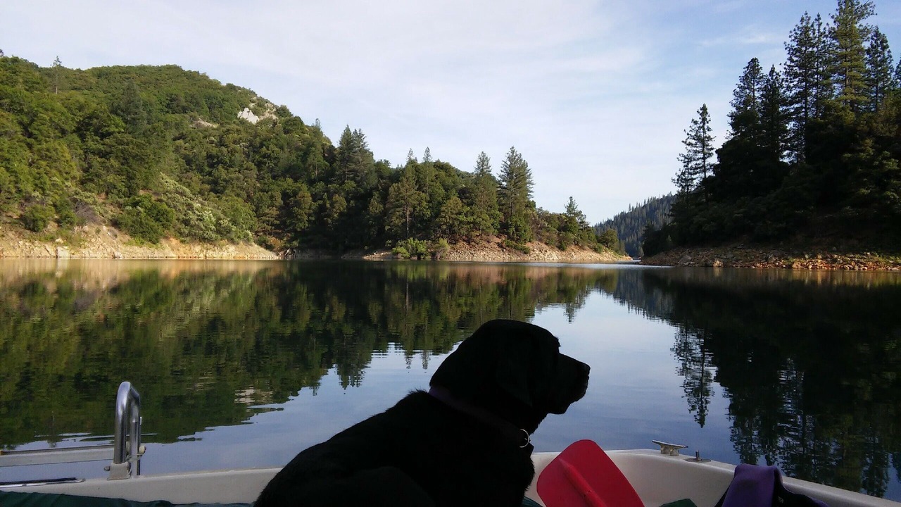 Photo of Outdoor in Shasta Lake