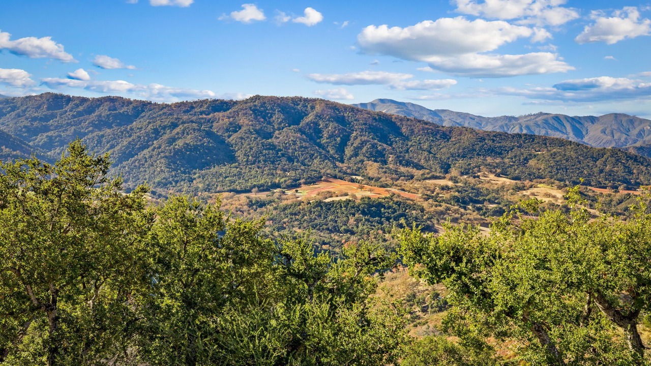 Photo of Others in Carmel Valley