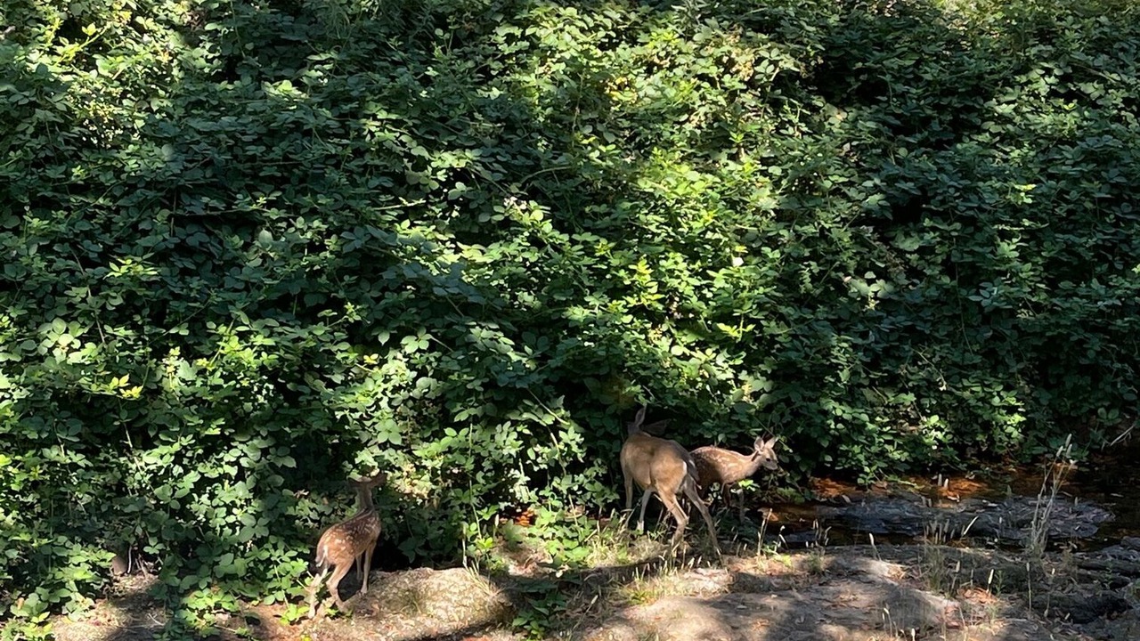 Photo of Outdoor in Glen Ellen