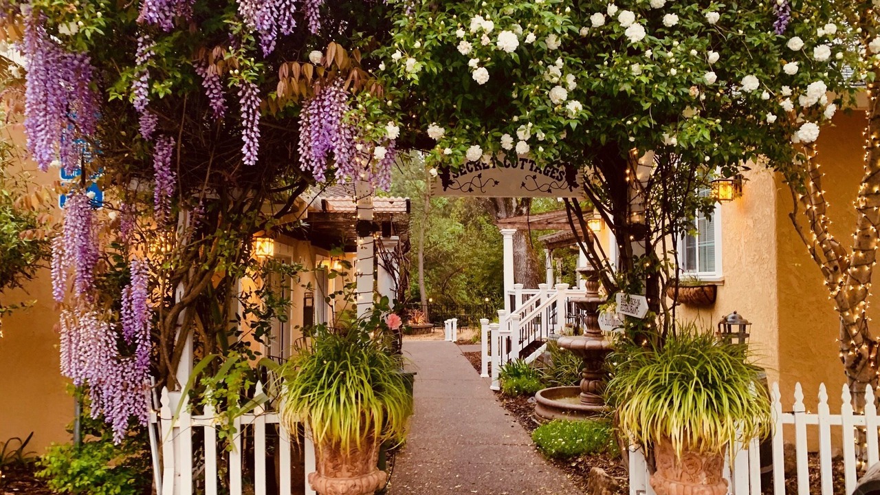 Photo of Outdoor in Glen Ellen